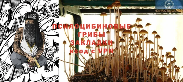 герыч Верхний Тагил