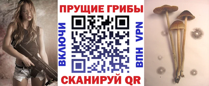 Галлюциногенные грибы мицелий Купить закладки Обь